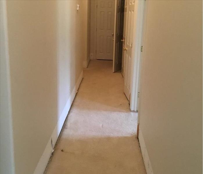 no stains on carpet, trim work removed for drying