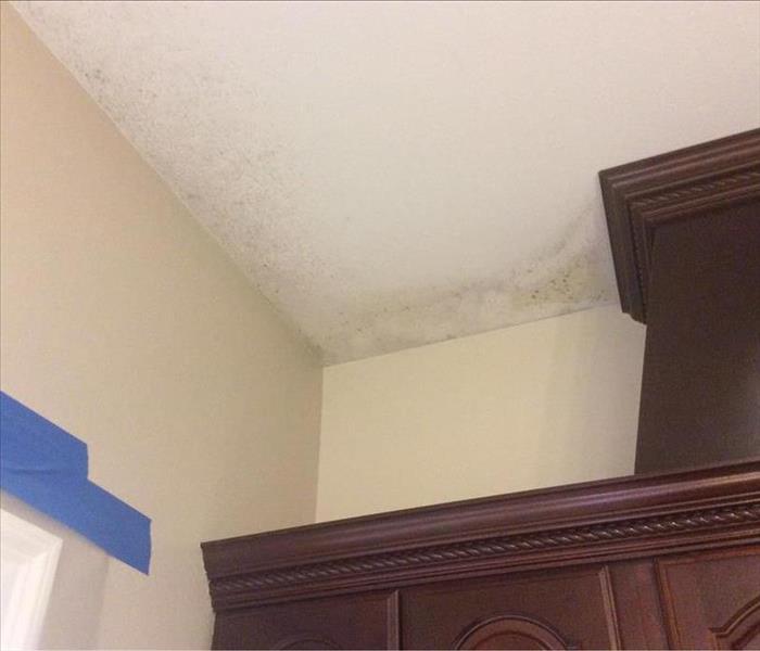 black spotted mold in corner ceiling, taped off blue