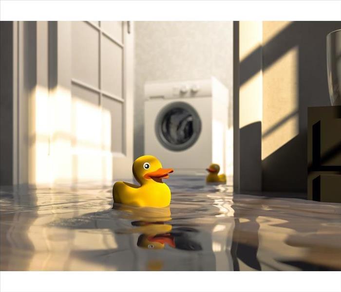Rubber ducks floating in flooded basement