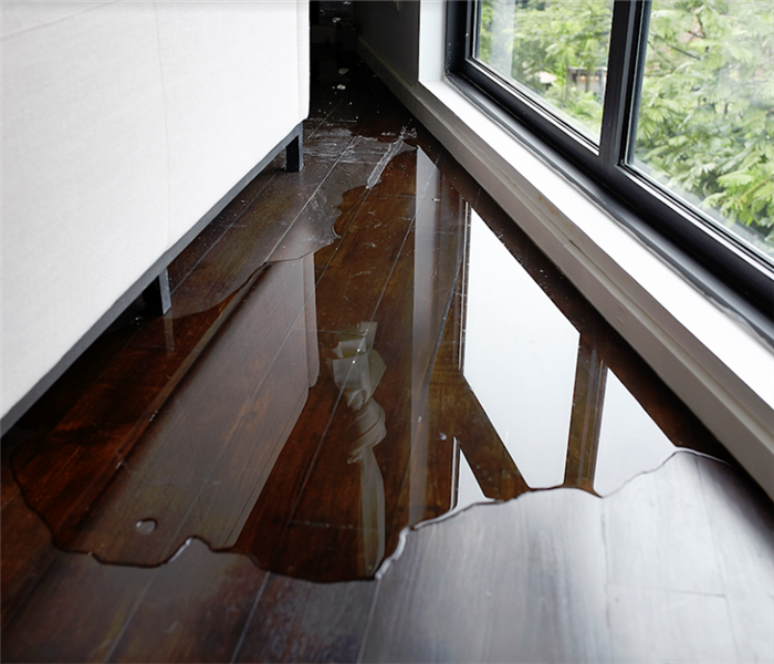 a puddle of water on hardwood floor